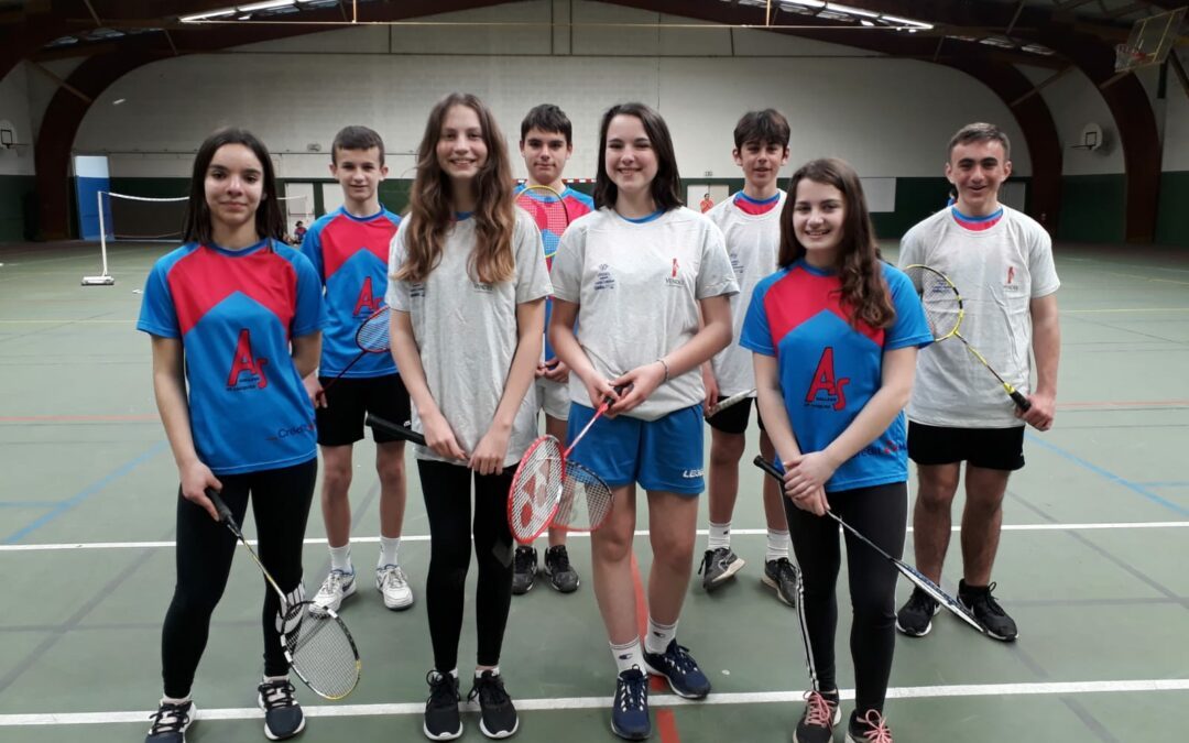 Départementaux badminton en équipe