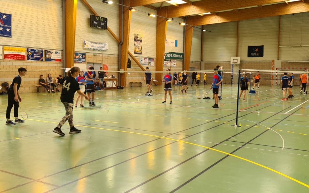 Compétition régionale de badminton à Legé